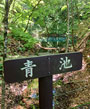 青池看板