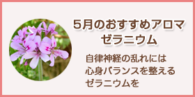 5月のおすすめアロマオイル ゼラニウム
